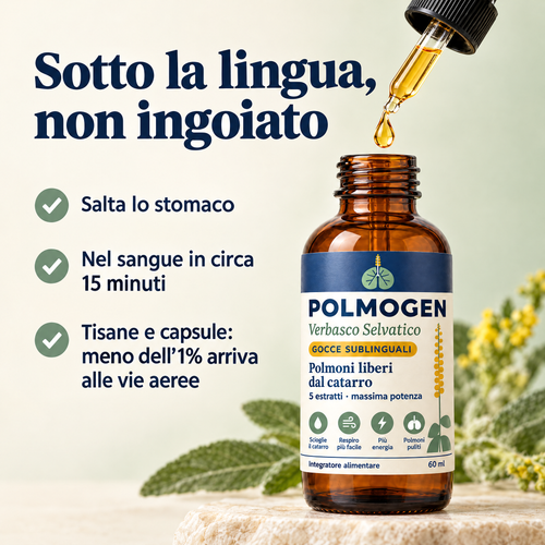 Polmogen